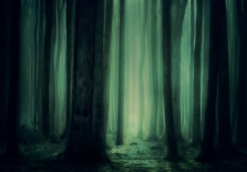 Dreamy Landscape