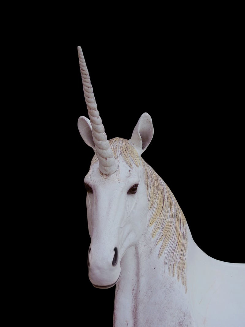 Mystical Unicorn
